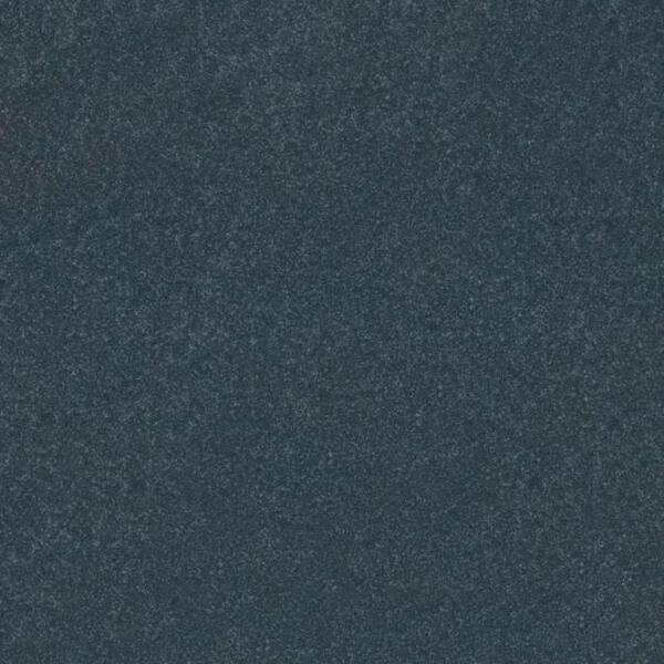 Home Decorators Collection 8 in. x 8 in. Texture Carpet Sample - House ...