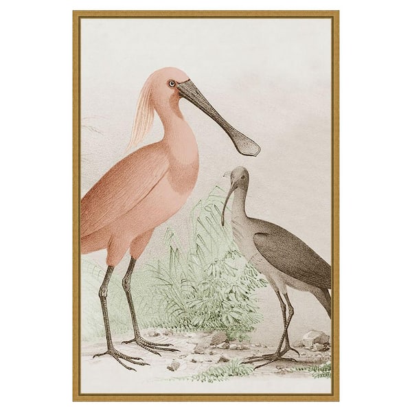 Amanti Art Antique Chroma Waterbirds II by unknown 1 Piece Floater Frame Canvas Giclee Animal Art Print 33 in. x 23 in.