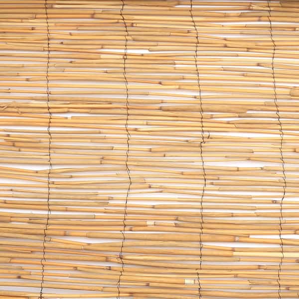 W Natural Peeled and Polished Reed Fencing Hampton Bay 4 ft H x 8 ft