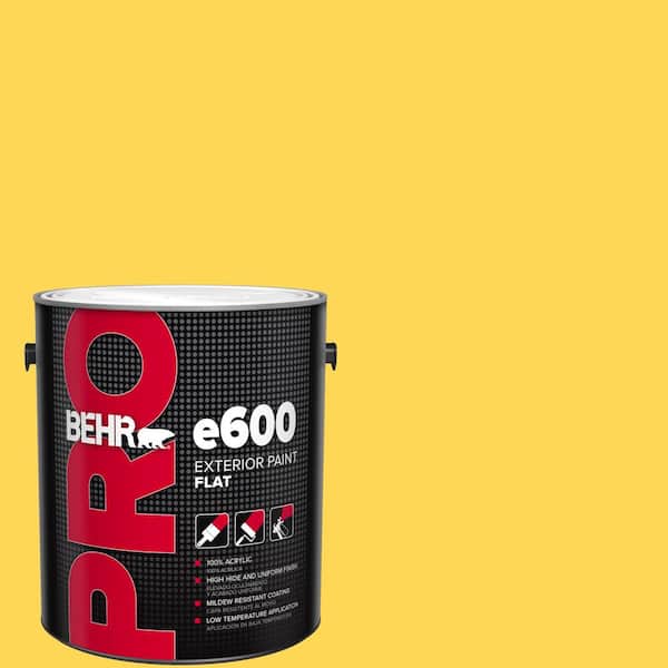 BEHR PRO 1 gal. #P300-6 Buzz-in Flat Exterior Paint