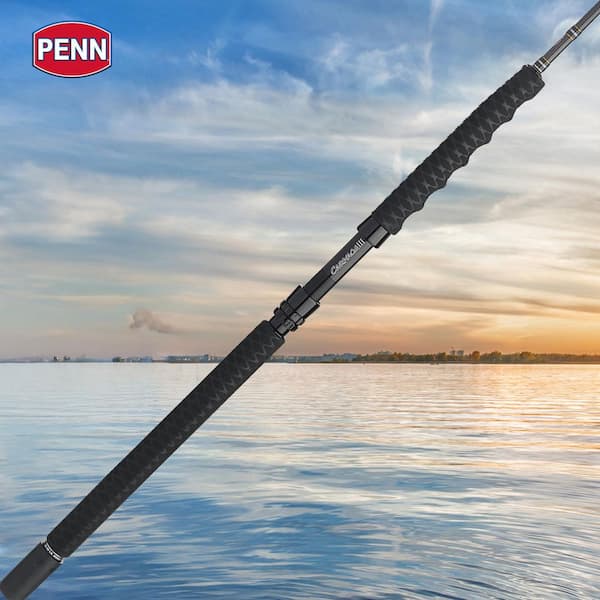 offshore st croix rod St. Mojo Inshore Spinning Rods St. Croix Sole Saltwater Spinning