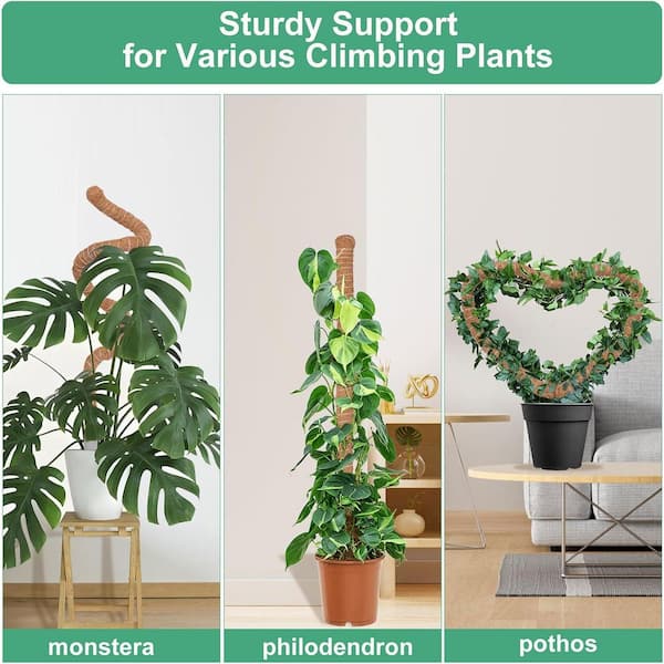50 in. H Brown Tall Aluminum Monstera Plant Support, Coco Coir