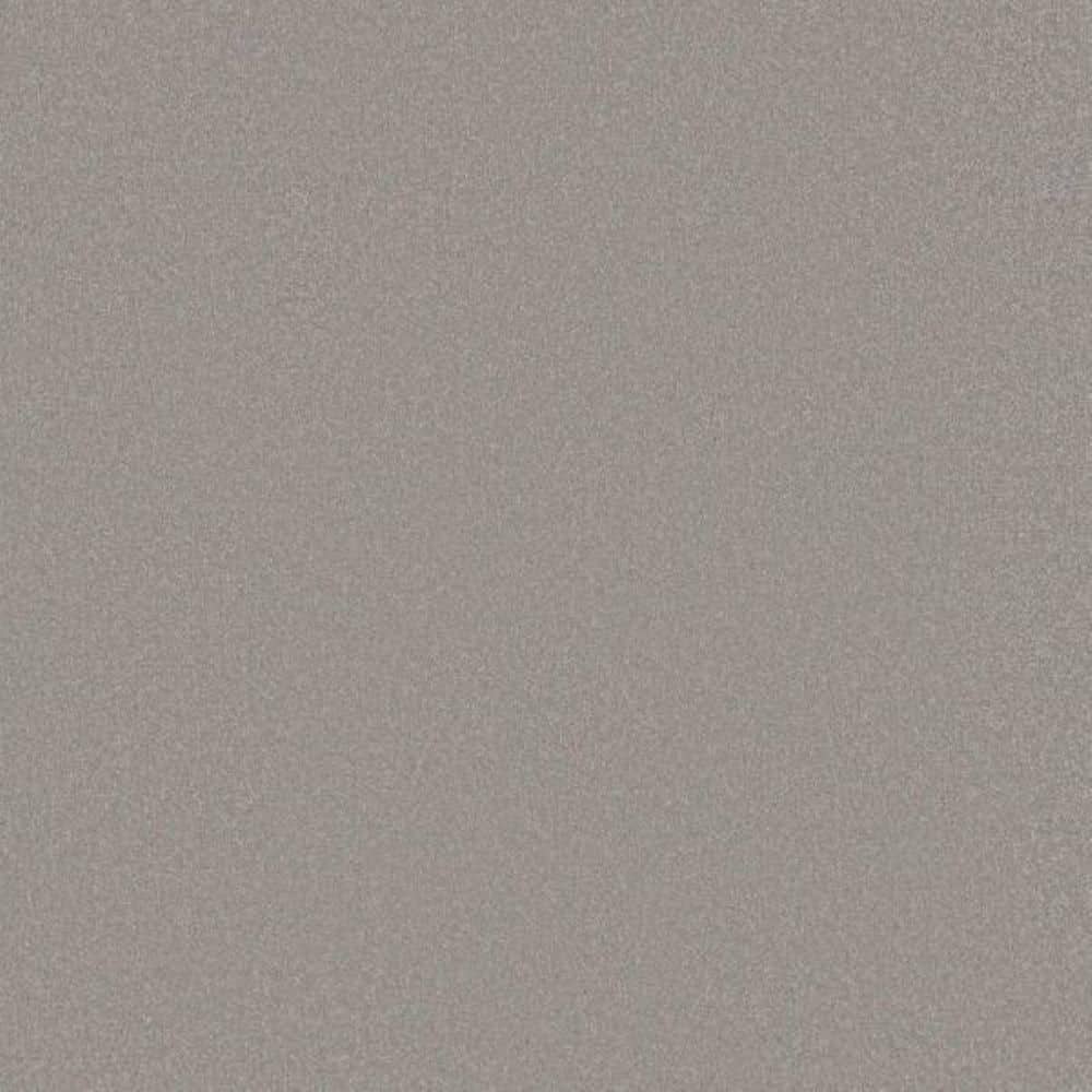 8 in. x 8 in. Texture Carpet Sample-Park Royal I-Color Overcast price history on PriceWatchPro