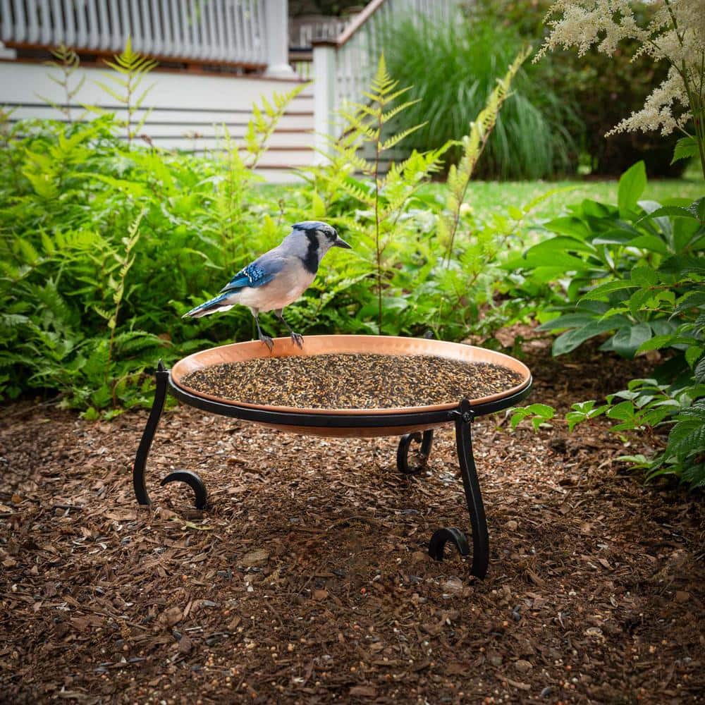 Hand-Forged Copper Birdbath with Black Steel Stand