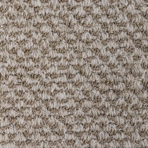 8 in. x  8 in. Loop Carpet Sample - Dark Paradise -Color Bliss