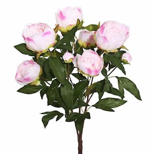 23 in. Artificial Cream and Pink Peony Bush.