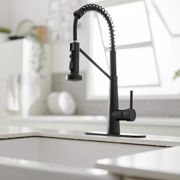 Single-Handle Pull-Down Sprayer 2 Spray High Arc Kitchen Faucet With Deck Plate in Matte Black