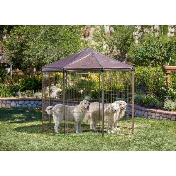 outdoor dog kennels at home depot
