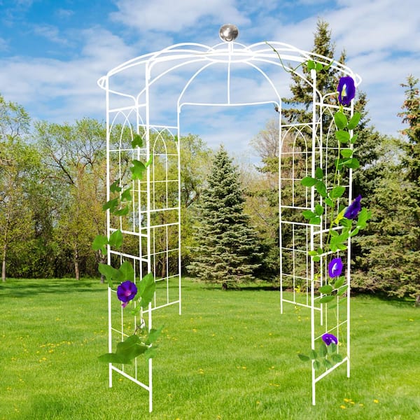 114.2 in. H Iron Trellis with Birdcage Shape Pergola Pavilion for Wedding Ceremony White
