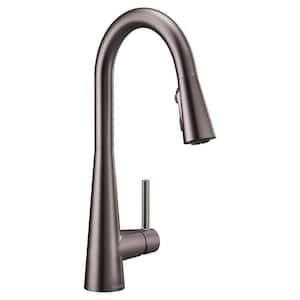 Sleek Single-Handle Pull-Down Sprayer Kitchen Faucet with Reflex and Power Clean in Black Stainless