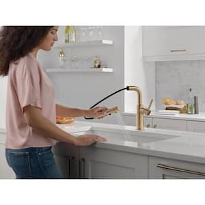 Daneri Single Handle Pull Out Sprayer Kitchen Faucet Deckplate Included in Champagne Bronze