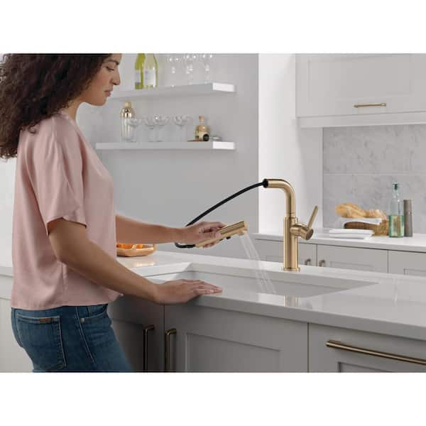 Daneri Gold Single Handle Pull Out Sprayer Kitchen Faucet Deckplate Included in Champagne Bronze
