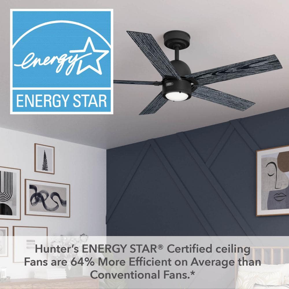 Erling Matte Black 52" Ceiling Fan with LED Light and Remote