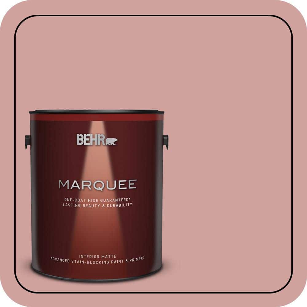 1 gal. #S150-3 Rose Pottery One-Coat Hide Matte Interior Paint & Primer price history on PriceWatchPro