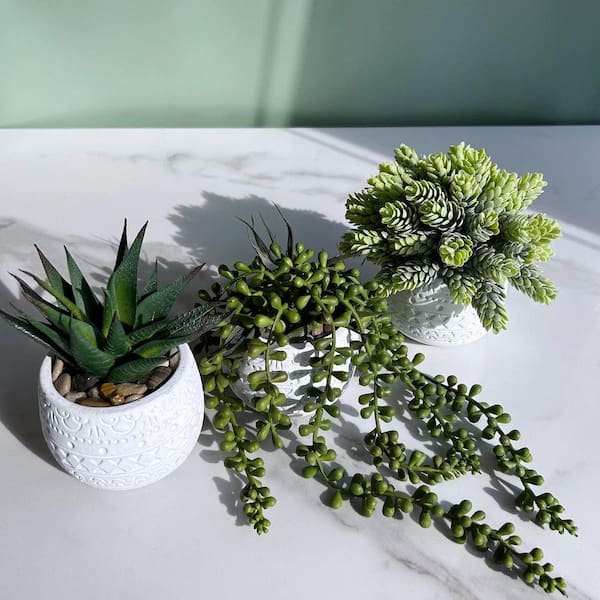 Unbranded 5 in. 3-Pieces Green White Indoor/Outdoor Artificial Succulent  Plant Set Aloe String of Pearls Sedum Ceramic Pot 59B1124C1955