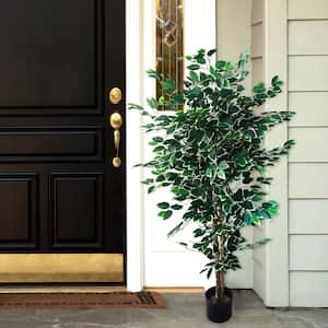 5 ft. Tall Artificial Topiary Ficus Tree