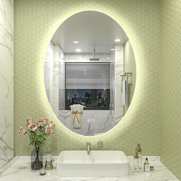 20 in. W x 28 in. H Oval Frameless Super Bright LED Backlighted Anti-Fog Wall Bathroom Vanity Mirror
