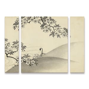 Unknown Japanese Cherry Blossom Tree B 3-Piece Panel Set Unframed Photography Wall Art 19 in. x 36 in