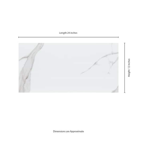 MSI Dymo Statuary White 12 in. x 24 in. Glossy Ceramic