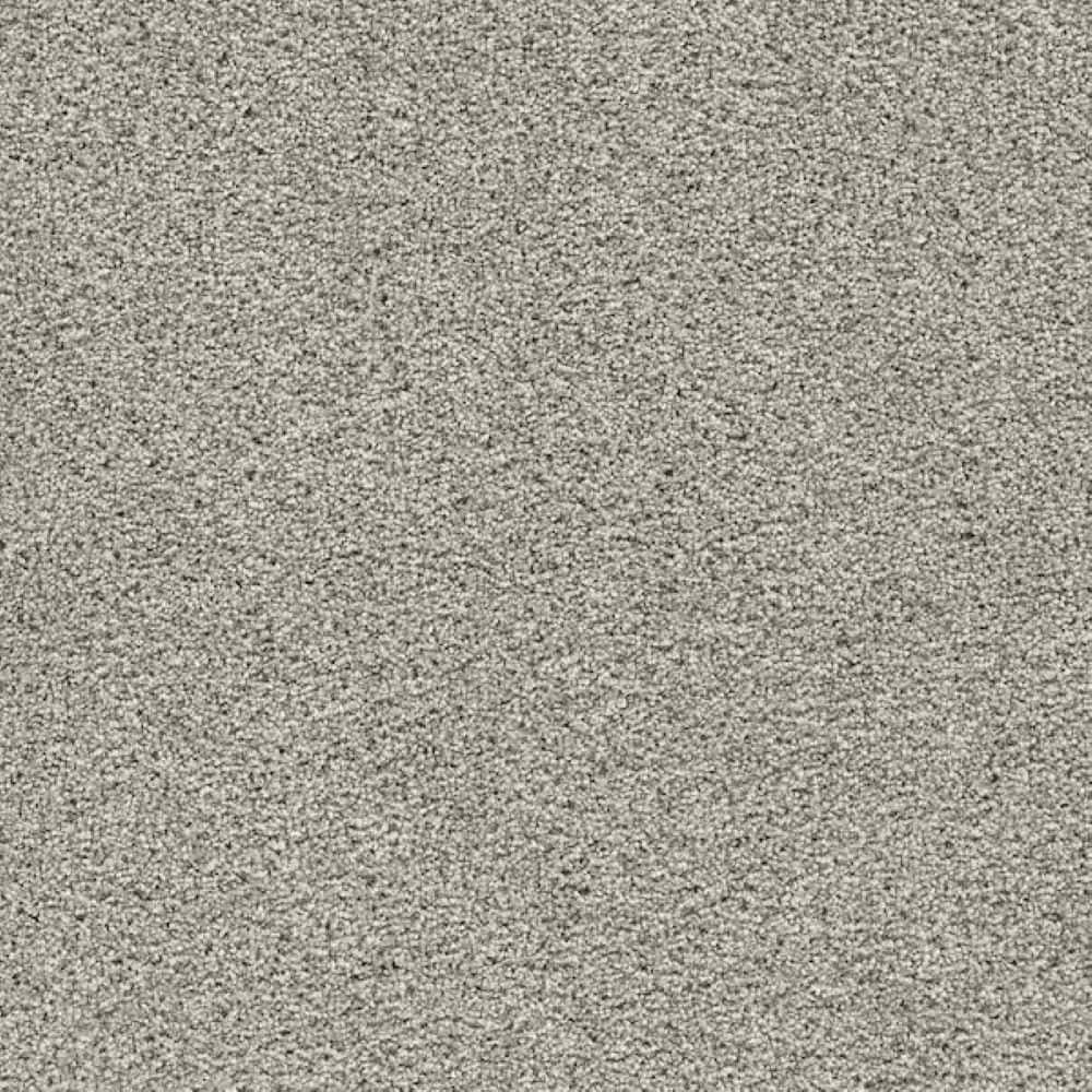 8 in. x 8 in. Texture Carpet Sample - SUNNY SELECTIONS - Color WHISPER price history on PriceWatchPro