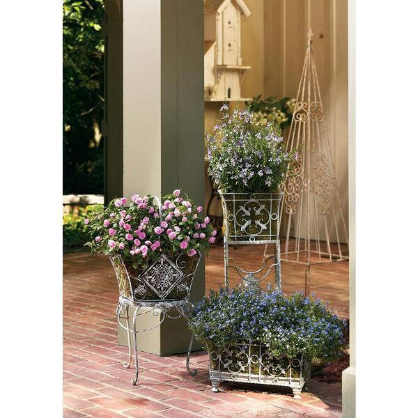 Proven Winners 10 In Laguna Sky Blue Mono Hanging Basket Lobelia Live Plant Blue Flowers Lobprw1021002 The Home Depot