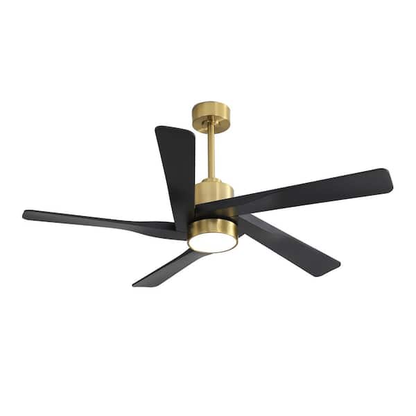 WINGBO 54 in. 5 Blades 6 Fan Speeds LED Indoor Gold and Black Smart Ceiling Fan with Remote