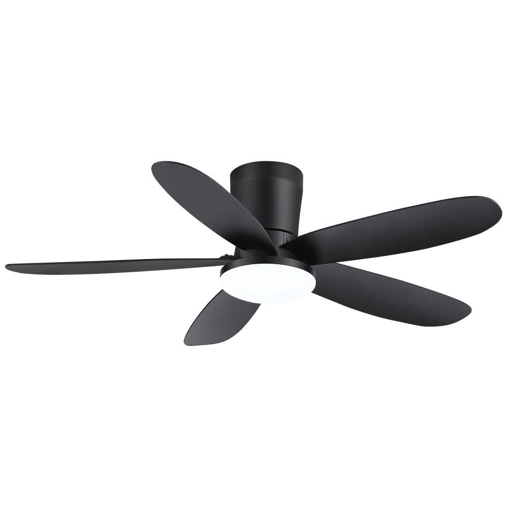 Flashwind Walshy 42 in. Indoor Black Flush Mount Ceiling fan with