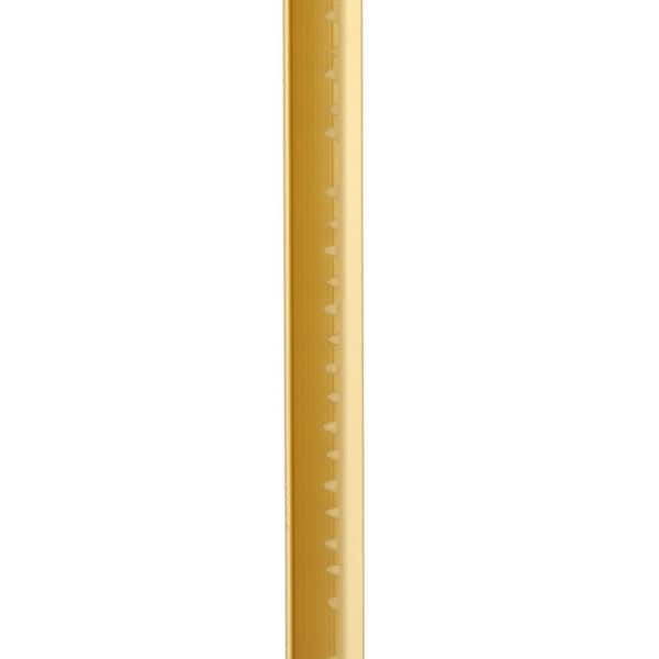 Carpet Gripper With Teeth