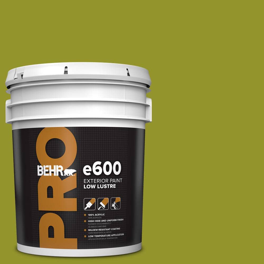 5 gal. #P350-7 Lazy Lizard Low Luster Exterior Paint price history on PriceWatchPro