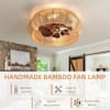 Lasaideal 19 in. Black Caged Ceiling Fan with Light