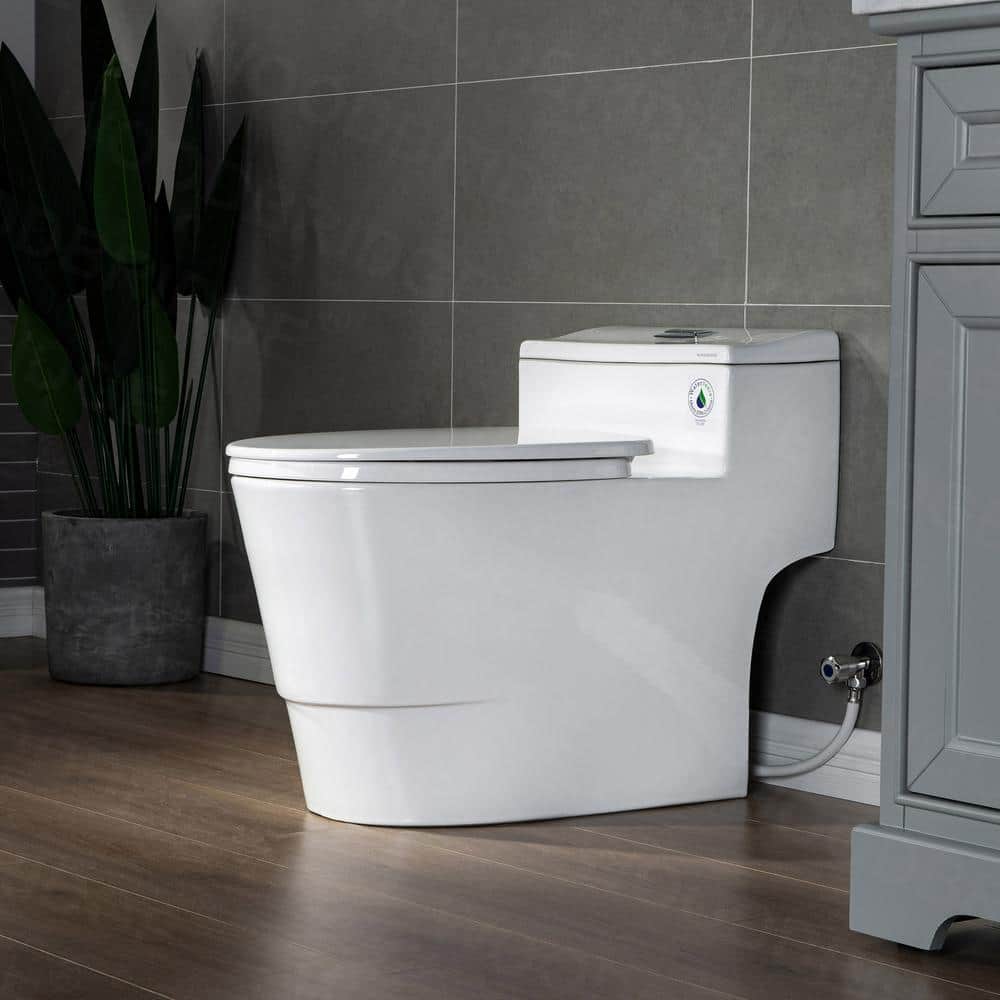 White Ceramic One-Piece Dual Flush Toilet with Chrome Button