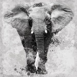 Multimedia Elephant Print Mixed Media Wall Art