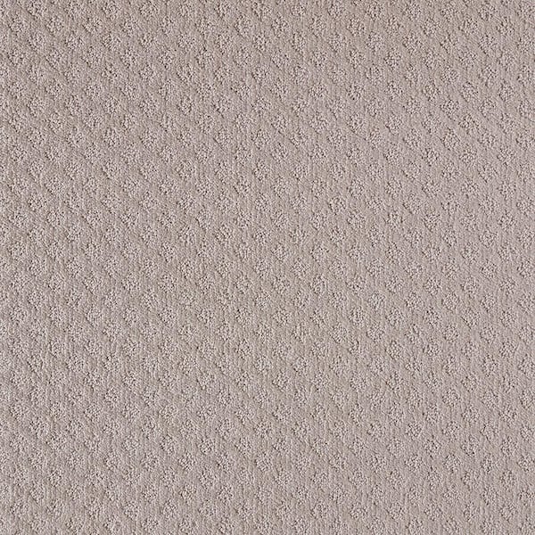 Home Decorators Collection Bradlow   - Mantee - Gray 25 oz. Polyester Pattern Installed Carpet