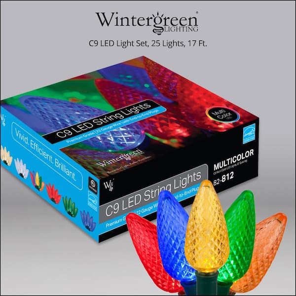 Wintergreen Lighting SuperBright 16 ft. 25-Light LED Multi-Color C9 String  Light Set 20348 - The Home Depot