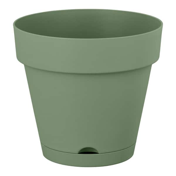 Vigoro H Vivienne Medium Green Plastic Round Self-Watering Planter with Drainage Holes (8 in. L x 8 in. W x 7.3 in. H)