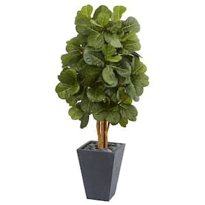 5.5 ft. High Indoor Fiddle Leaf Artificial Tree in Slate Planter