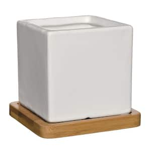 Nova 3.5 in. White Ceramic Square Planter with Tray