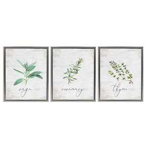 Charm Summer Kitchen Herbs by Lettered and Lined 3 Piece Gray Floater Frame Typography Graphic Art Print 21 in. x 17 in.