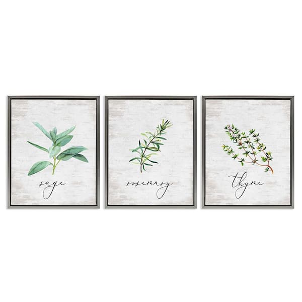 Stupell Industries Charm Summer Kitchen Herbs by Lettered and Lined 3 Piece Gray Floater Frame Typography Graphic Art Print 31 in. x 25 in.