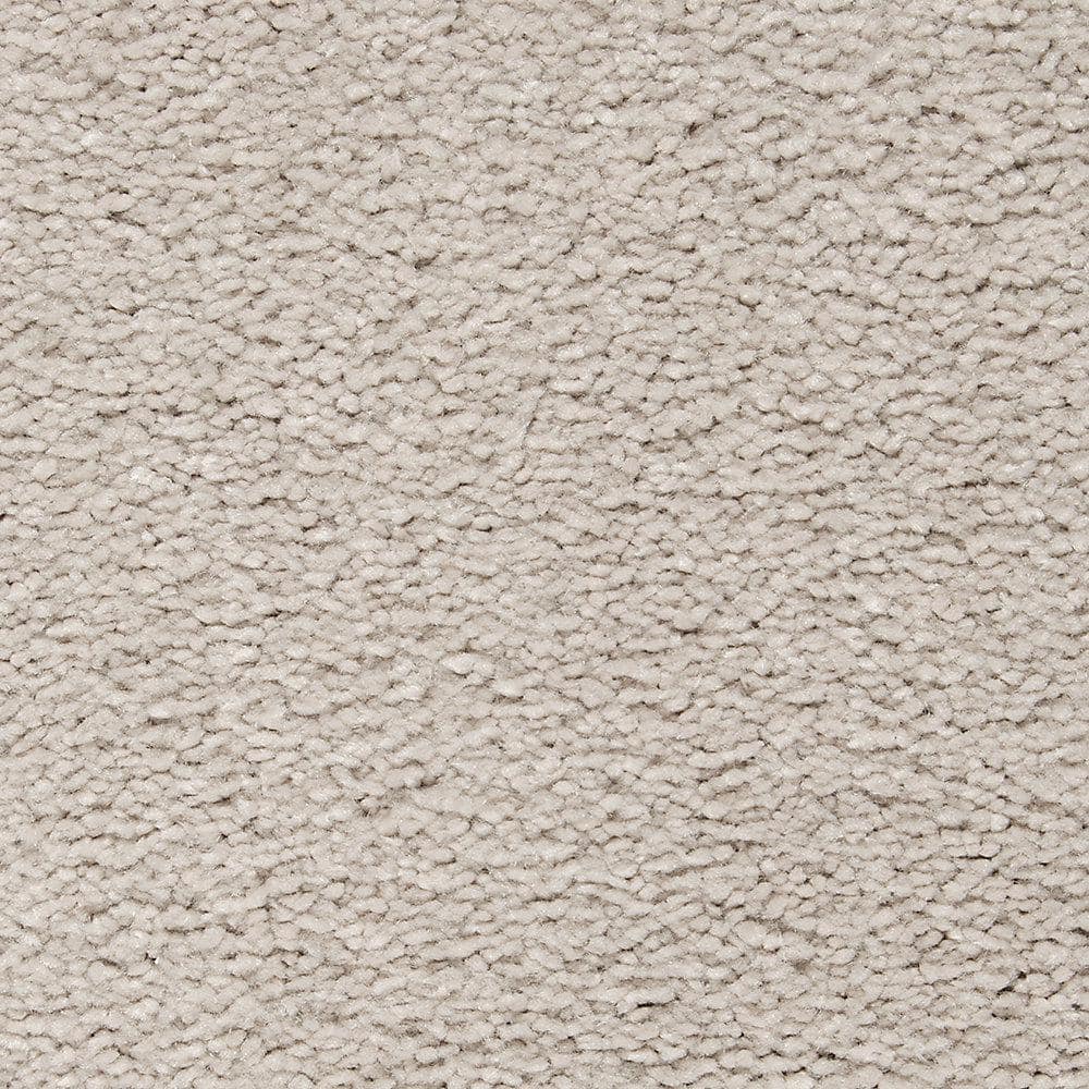 8 in. x 8 in. Texture Carpet Sample - Castle II -Color Daydream price history on PriceWatchPro