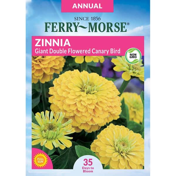 Ferry-Morse Zinnia Giant Double Flowered Canary Bird Flower Seed