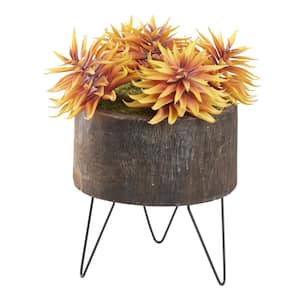 Indoor Artificial Succulents In Wood Bowl With Metal Legs