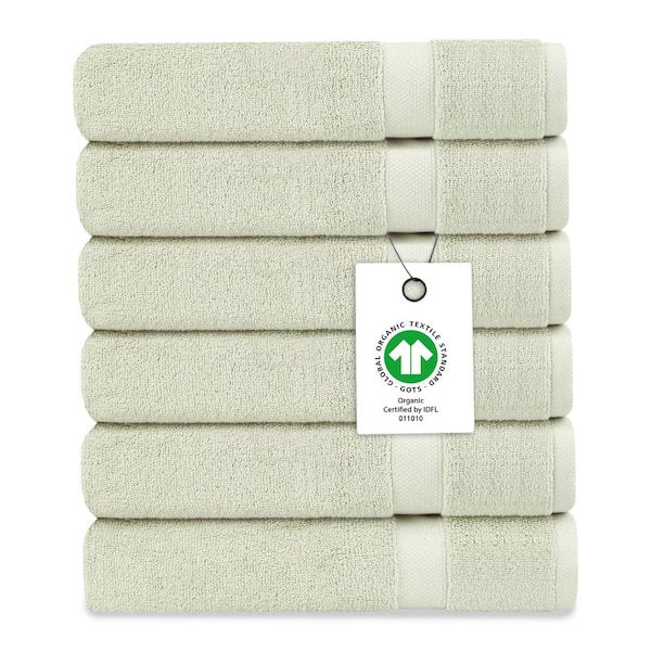 Delara Delara Green Tint Solid 100% Organic Cotton Luxuriously Plush Wash Cloth (Set of 6)
