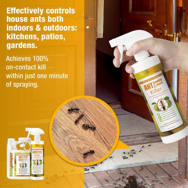 Ecoraider Ant Killer (32 oz) with Remote Trigger Sprayer, Instant Kill 4-Weeks