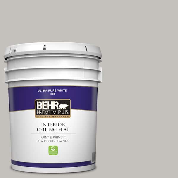 5 gal. #PPU18-10 Natural Gray Ceiling Flat Interior Paint