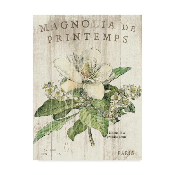 Trademark Fine Art Magnolia De Printemps by Sue Schlabach Floater Frame Nature Wall Art 19 in. x 14 in.
