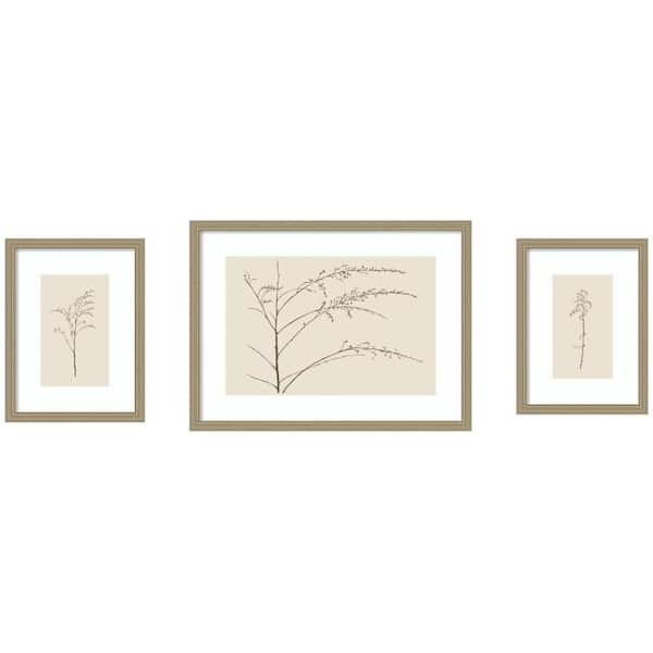 3 Piece Belmont Botanical Sketch Warm by Stephanie Klatt Flowers Framed Art Print Set 24 in. x 73 in.