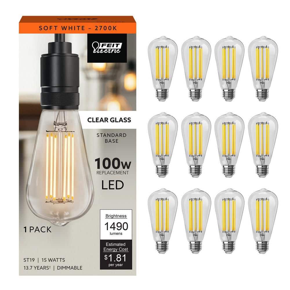 Feit Electric 100-Watt Equivalent ST19 Dimmable Cage Filament