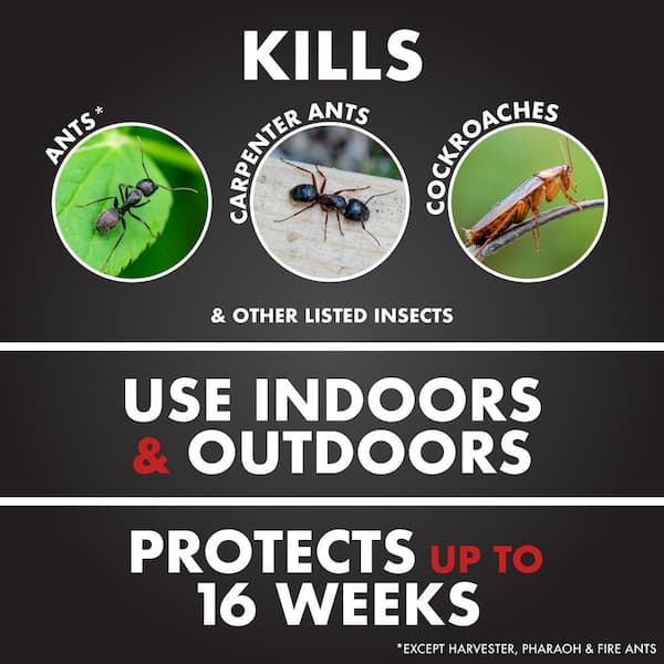 Ant Shield 15 oz. Aerosol Insect Killer