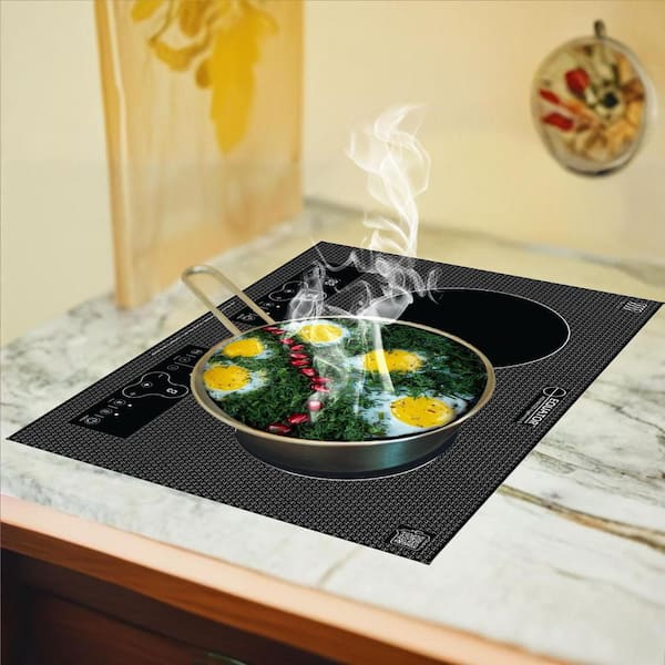 Equator 20 in. Horizontal 2 elements Dual Induction Cooktop